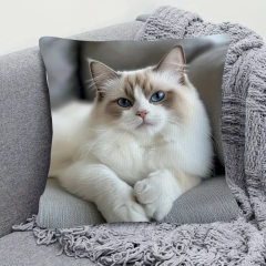 1pcs Cute Cartoon Cat Cushion Pillow Cover Simple Printed Throw Cushion Case Creative Home Sofa Decor Gift for Cat Lovers