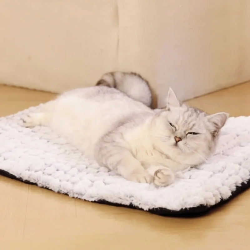 Thermal cat Bed Washable Down-like Fabric Self-heating Dog Bed Dirt-resistant and Slip-resistant Dog Mat Pet Decorate Accessory