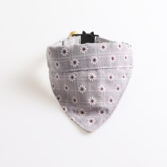 Pet collars and bibs
