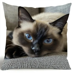 1pcs Cute Cartoon Cat Cushion Pillow Cover Simple Printed Throw Cushion Case Creative Home Sofa Decor Gift for Cat Lovers