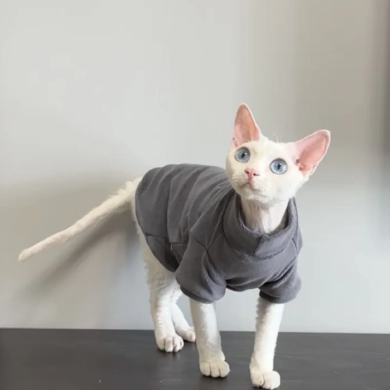 Minimalist Chic Design Second Skin Feel Hairless Cat Warm Knitwear