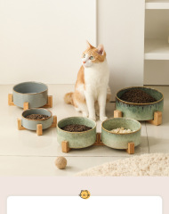 Nordic style cat ceramic bowl