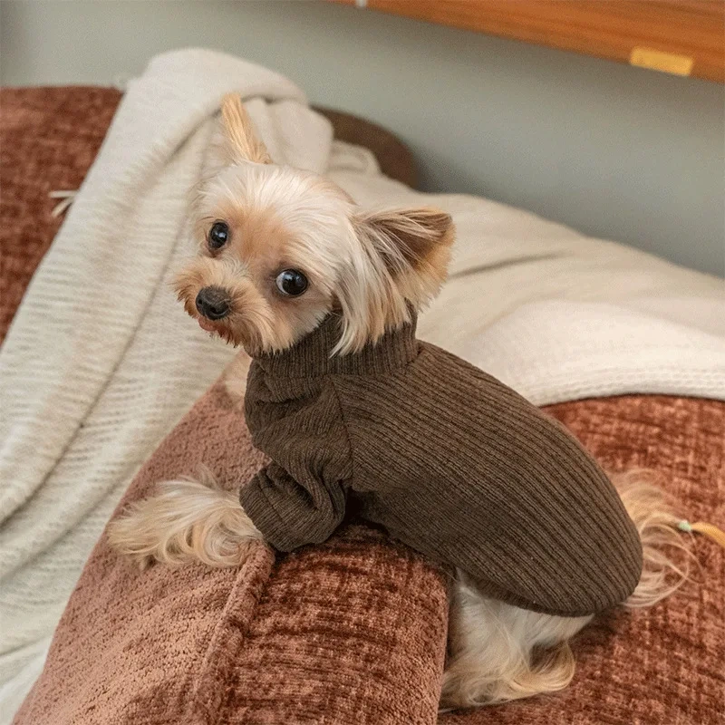 2025 Hairless Cat Autumn/Winter Sphinx German Pet Cat Elastic Fashion Comfortable Soft Sweater