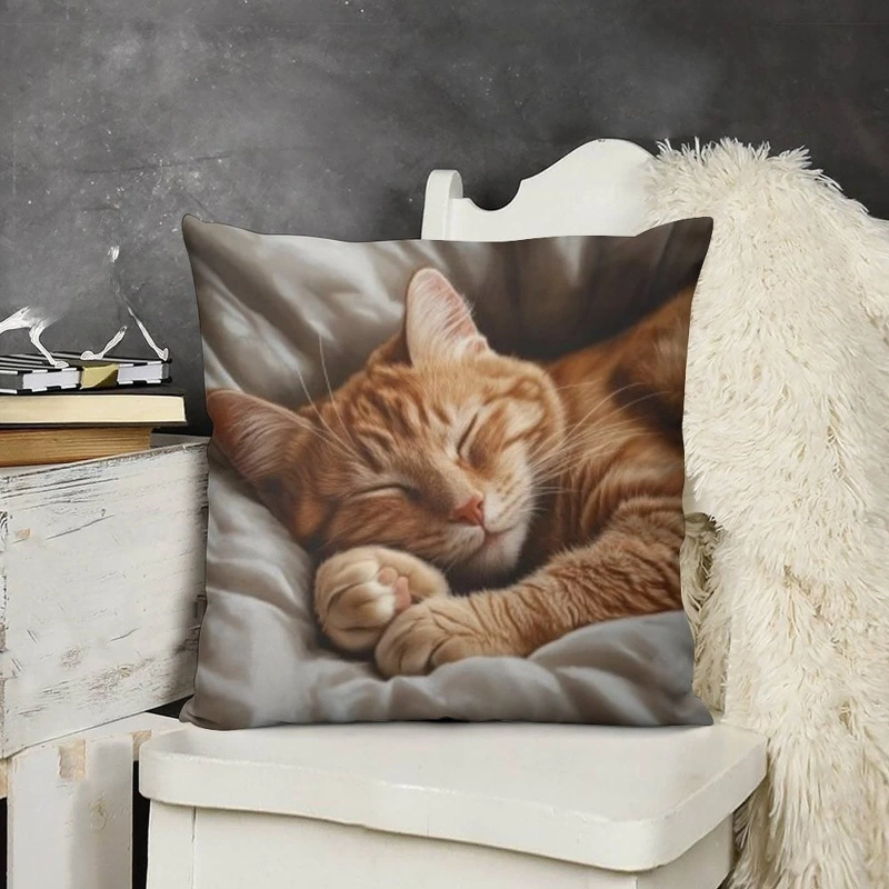 1pcs Cute Cartoon Cat Cushion Pillow Cover Simple Printed Throw Cushion Case Creative Home Sofa Decor Gift for Cat Lovers