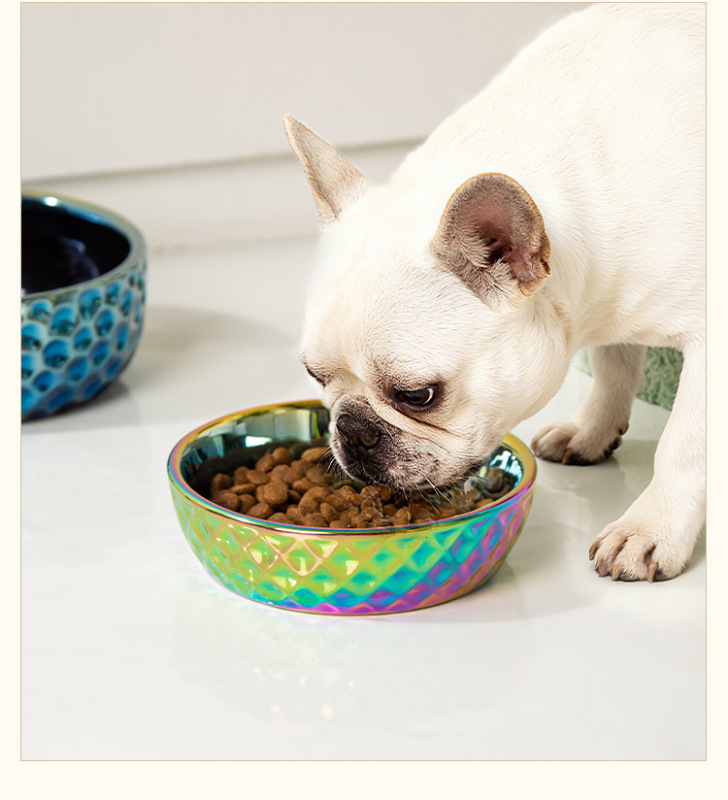 Colorful Electroplated Ceramic Pet Bowl