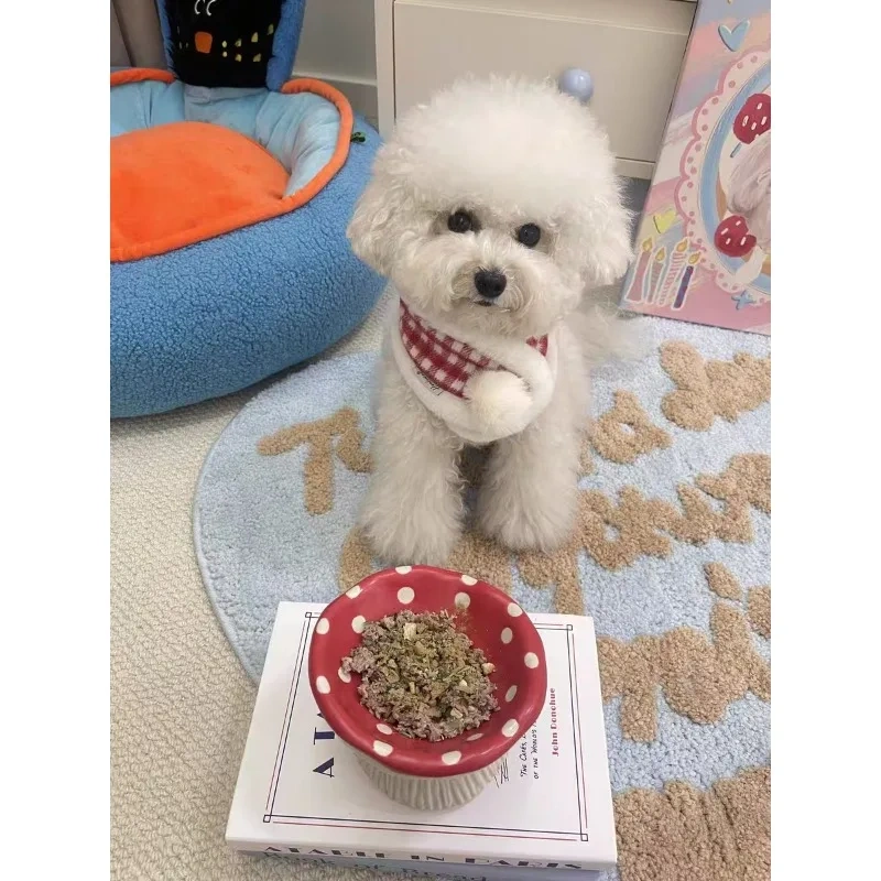 Cute Mushroom Ceramic Elevated Slow Feed Bowl for Small Dogs Cats Raised Anti Gulp Dish Pet Food Water