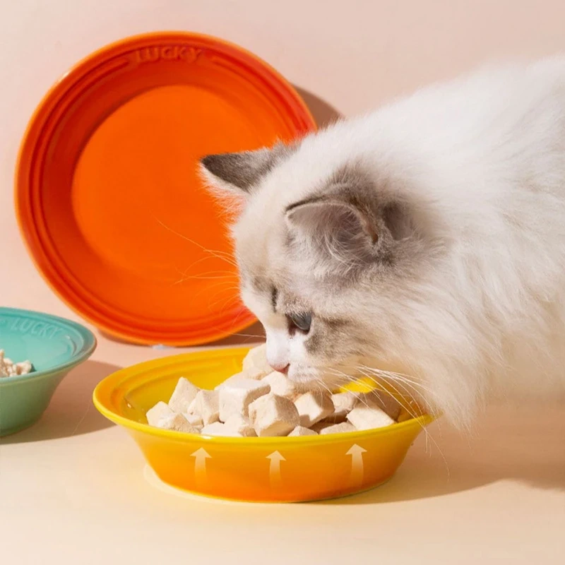 New Arrival Colorful Dog Dish Ceramic Anti-spill Ceramic Cat Water Bowls Dinner Drinking Pet Bowl Plate