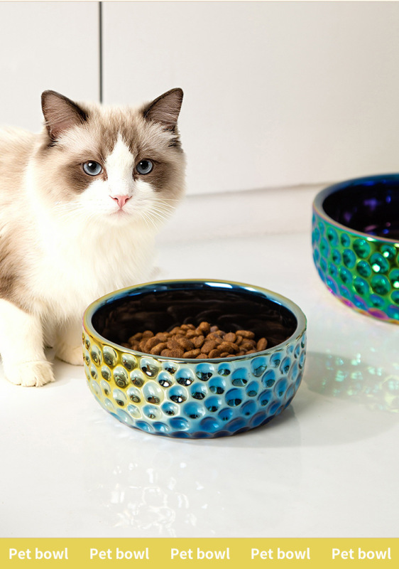 Colorful Electroplated Ceramic Pet Bowl