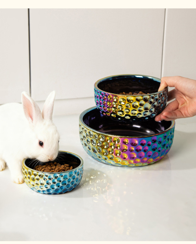 Colorful Electroplated Ceramic Pet Bowl