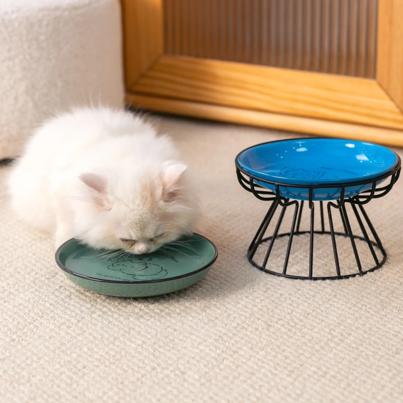Creative Eco-Friendly Ceramic Pet Bowl with Bowl Rack and Can Plate for Cats Dogs Anti-Tip Lightweight Non-Slip Drinking Bowl