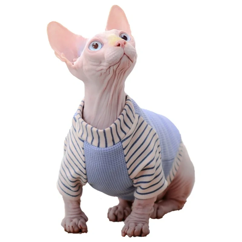 Elegant Cat Clothes For Sphinx Winter Warm Kitten Hoodies Soft Sphynx Cat Costumes Devon Rex Cats Jacket Clothing ropa gato
