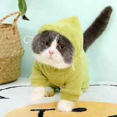 2025 Spring and Autumn Elastic Velvet Clothing for Stomach Protection  German Hairless Cat Warm Clothing