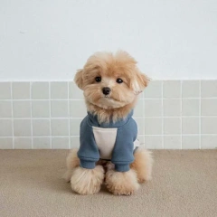 Warm Dog Hoodies Soft Fleece Pet Clothes for Small Medium Dogs Comfortable Puppy Clothes Yorkshire Chihuahua Costumes Pet Supply