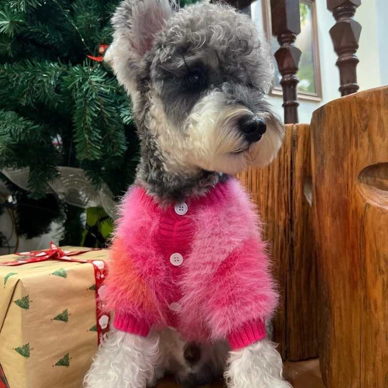 Autumn and Winter Warm Pet Sweater Plush Knitted Cardigan Cat Schnauzer Teddy Coat Dog Clothes for Small Dogs