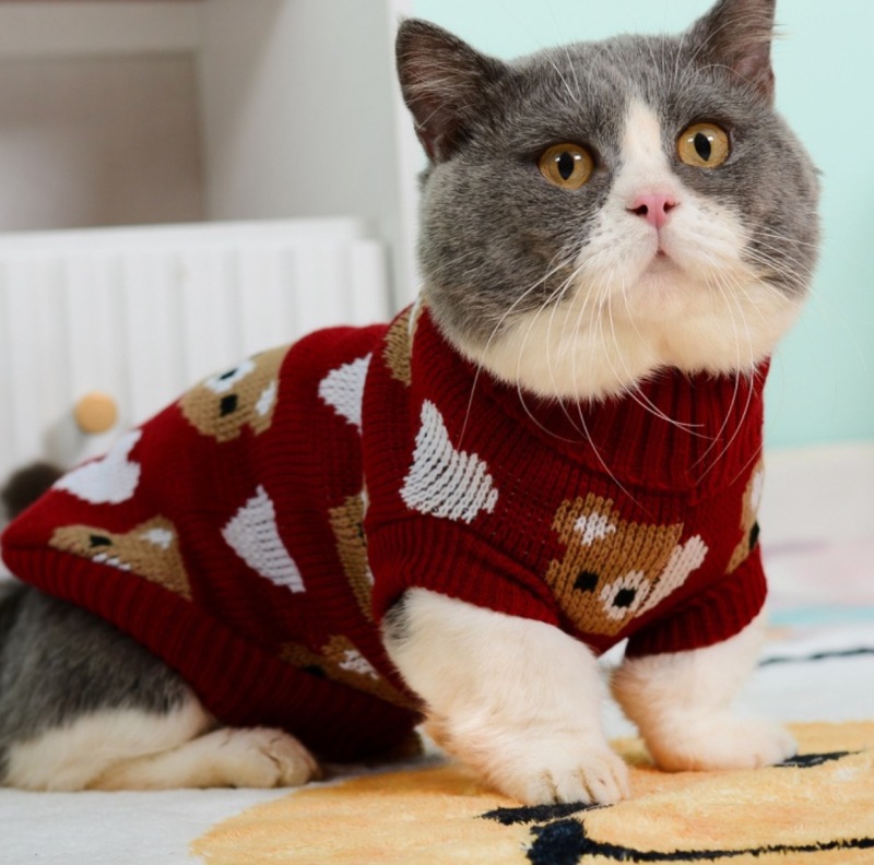 Luxury Cat Sweater Hairless Male Cat Winter Warm Costume Acrylic Christmas Print Cartoon