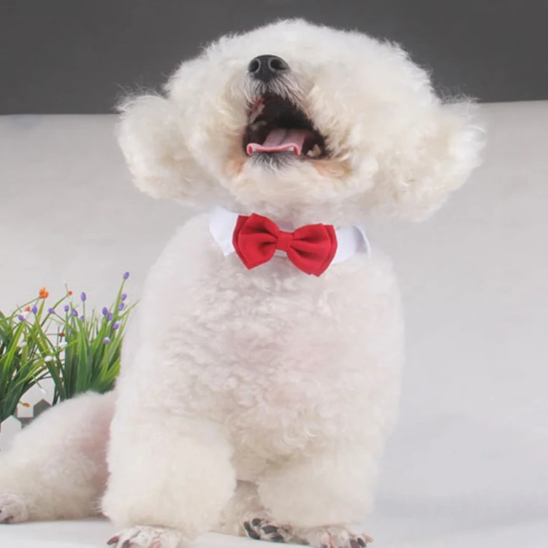 Pet Cat Collar Red Bowknot Adjustable Cotton Tie Durable Stylish Collar for Daily Party Outdoor Sports Supplies Size L