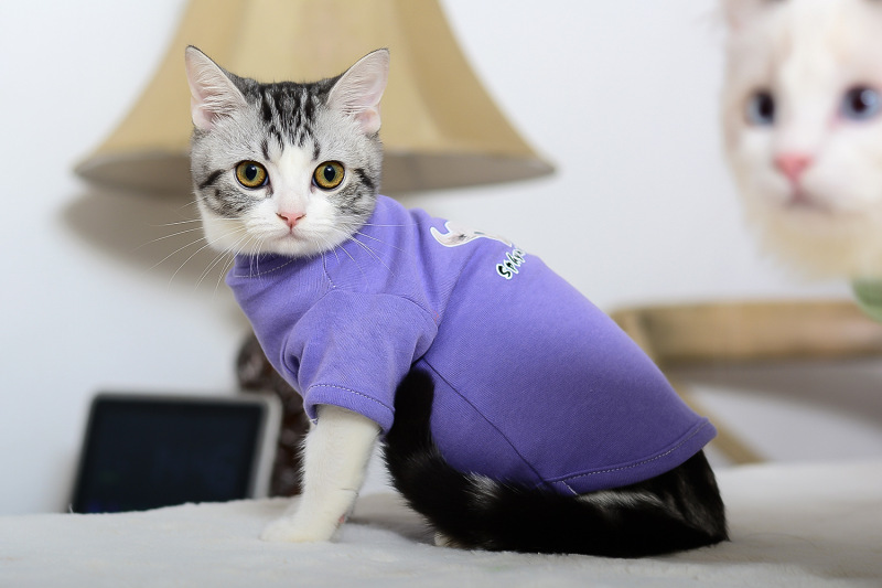 Hairless Cat Clothes Small Milk Cat Anti Shedding Pet T-shirt German Cat Cotton and Linen Autumn Hoodie