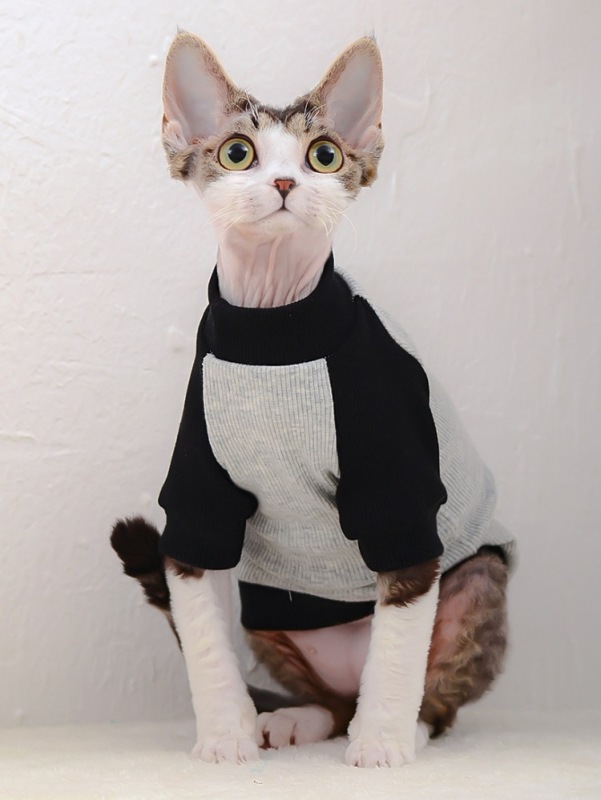 Winter Warm Classics Cat Clothes Pure Cotton Eco-friendly Trendy Stitching Cat Sweater