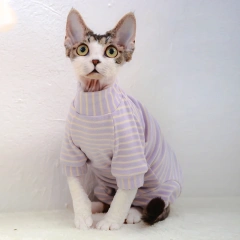 Sphynx Cat Clothes Cotton Kitten Cat Jumpsuit Winter Warm Cats Overalls Hoodies Costumes For Sphinx Devon Cat ropa para gato