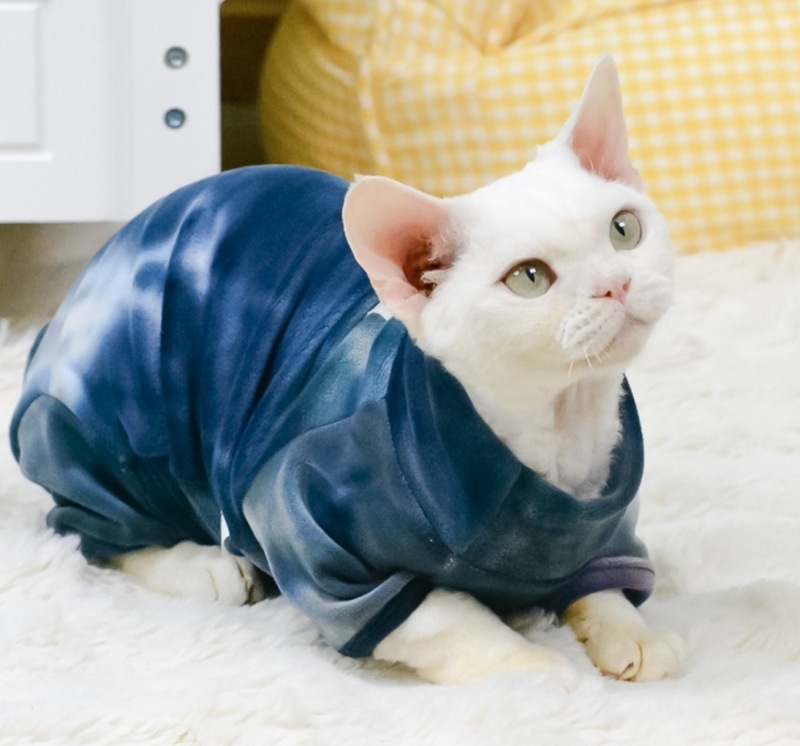 luxury Autumn and Winter Tie-Dye Soft Pet Clothing with Fleece Hoodie Sustainable and Stylish for Dogs