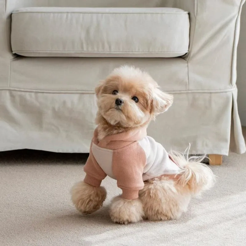 Warm Dog Hoodies Soft Fleece Pet Clothes for Small Medium Dogs Comfortable Puppy Clothes Yorkshire Chihuahua Costumes Pet Supply