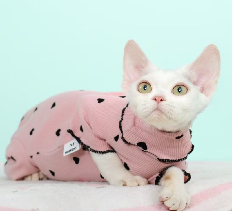 Moorspet Cute Four-Legged Devon Cat Winter Kitten Clothes Hairless