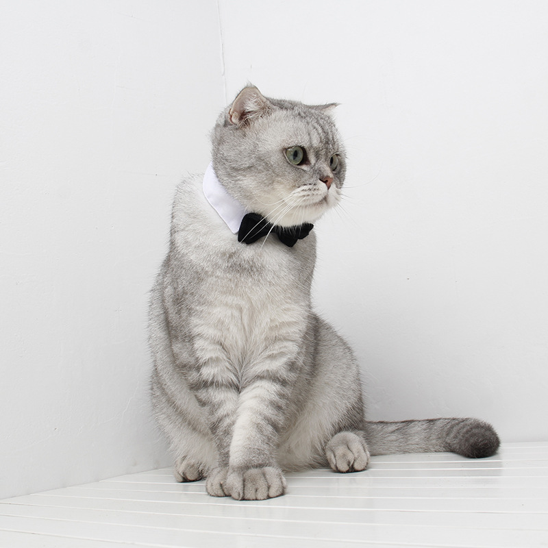 Pet Cat Collar Red Bowknot Adjustable Cotton Tie