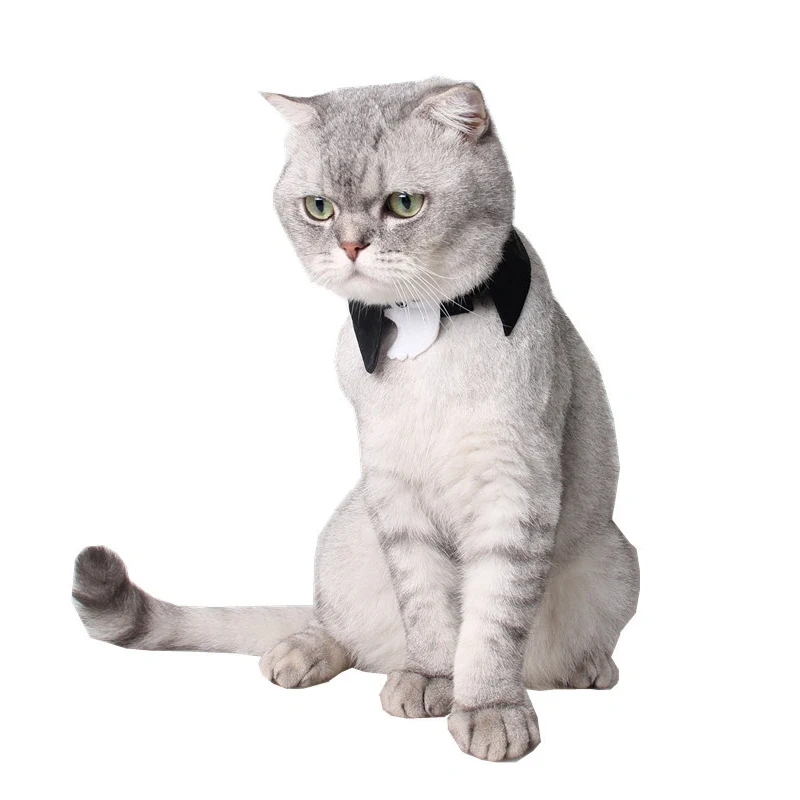 Wholesale Comfortable Polyester Puppy Party Collar Accessory Halloween Pet Cat Dog Adjustable Neck Lace Animal Pattern