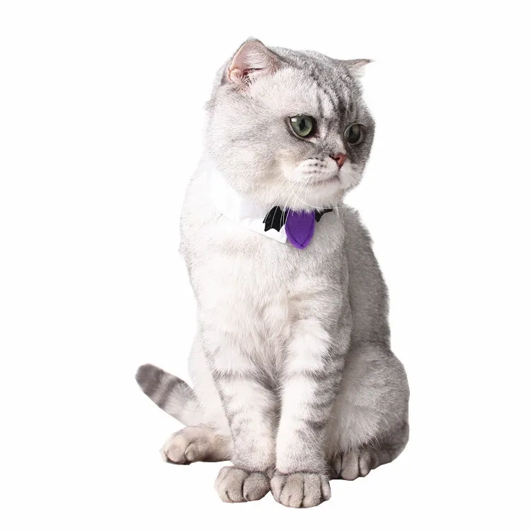 Wholesale Comfortable Polyester Puppy Party Collar Accessory Halloween Pet Cat Dog Adjustable Neck Lace Animal Pattern