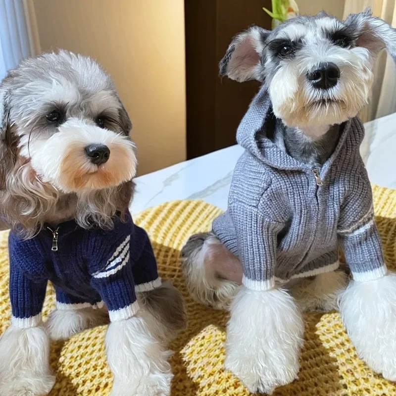 Autumn and Winter New Products Thickened Pet Knitted Sweater Dog Cat Corgi Clothing Clothes