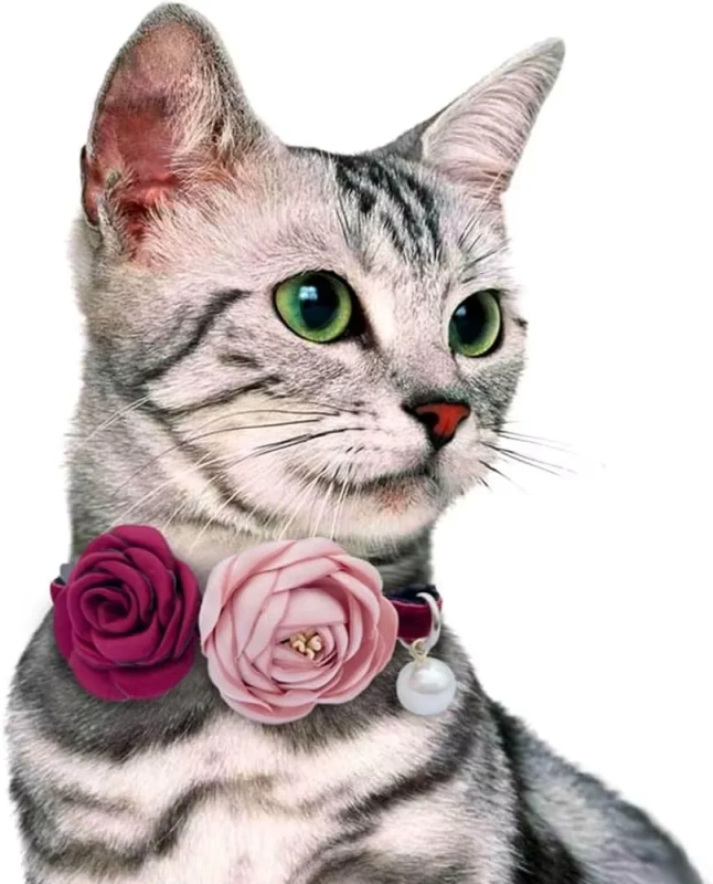NiBao High Quality Adjustable with Bowtie Cat Pet Collar for Girl Kitten Small Dogs Pets