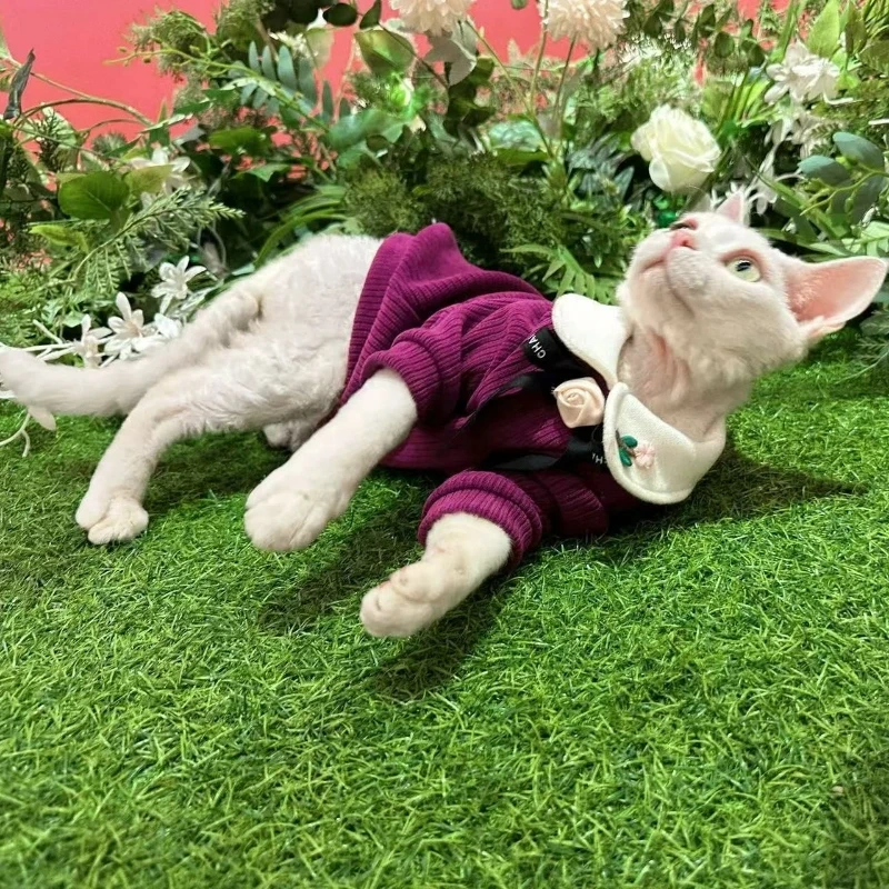 Spring And Autumn Cat And Dog Hoodies Cozy Apparel Suited For Hairless Cats  Snowy Owl Fabric Pet Clothes For Small Dog Cats