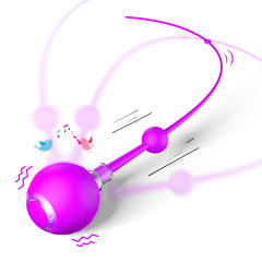 Intelligent Gravity Cat Toy Ball Electric Self-Entertainment Boredom Relief Chasing Toy with Rope