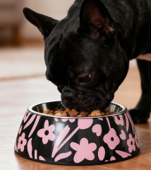 Stainless steel melamine cat bowl