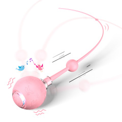 Intelligent Gravity Cat Toy Ball Electric Self-Entertainment Boredom Relief Chasing Toy with Rope