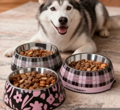 Stainless steel melamine cat bowl