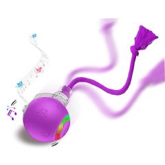 Intelligent Gravity Cat Toy Ball Electric Self-Entertainment Boredom Relief Chasing Toy with Rope