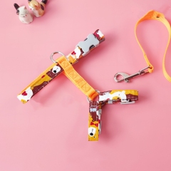 Cat and small dog harness set