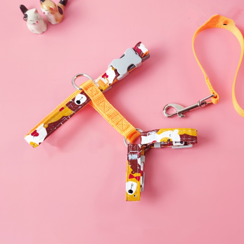 Cat and small dog harness set