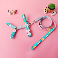 Cat and small dog harness set
