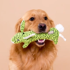 New Style Cheap Pet Supplies Toys Dog Toys Squeaky for Aggressive Chewers