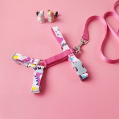 Cat and small dog harness set