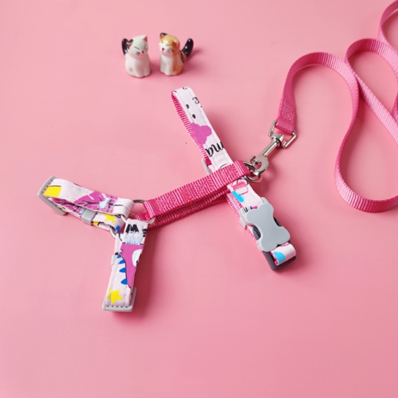 Cat and small dog harness set