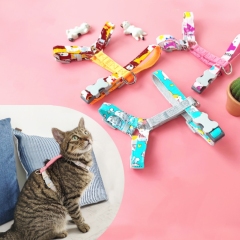 Cat and small dog harness set