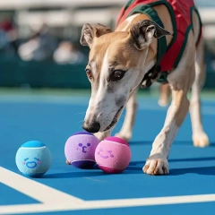Mini Interactive Pet Tennis Ball High Bounce Durable Rubber Chew Toy for Small Dogs Outdoor Play Training Interactive Puppy Ball