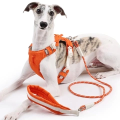 Luxury Nylon Dog Harness Vest Solid Polyester Simple Design Heavy Duty for Walking for Medium and Large Cats
