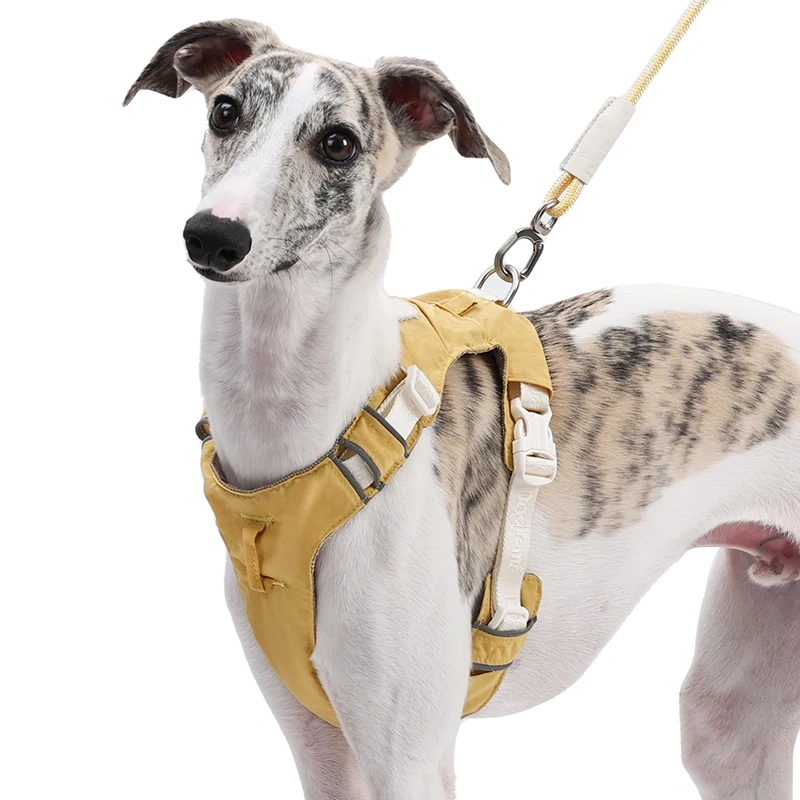 Luxury Nylon Dog Harness Vest Solid Polyester Simple Design Heavy Duty for Walking for Medium and Large Cats