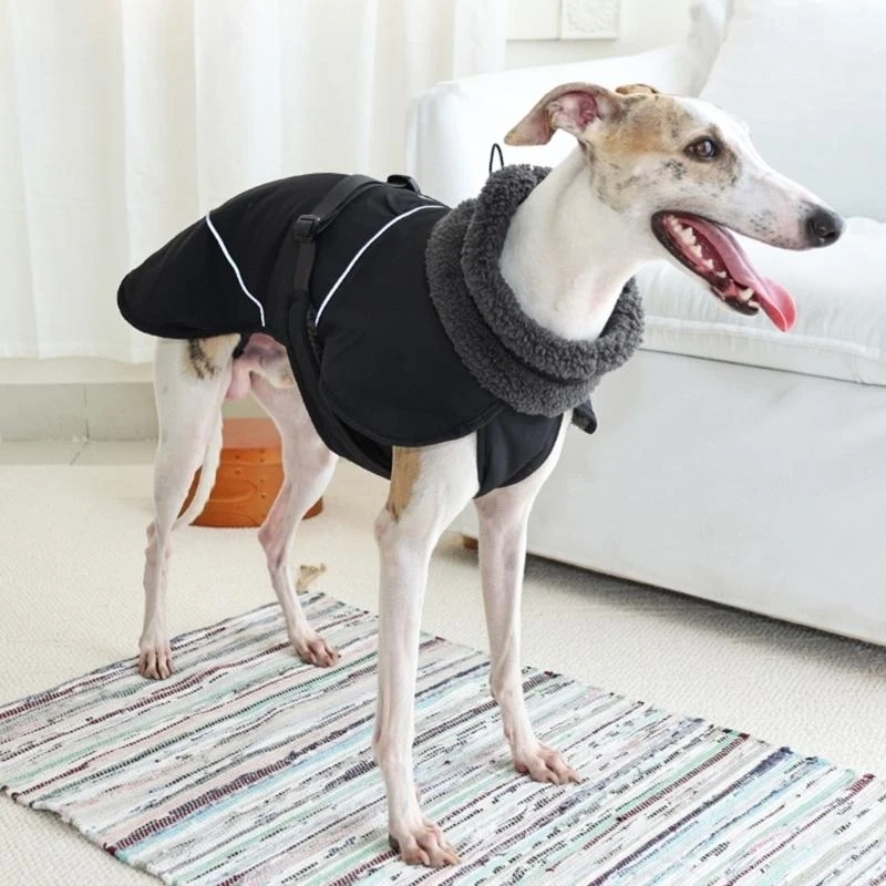 Thick Insulated Dog Coat Waterproof Windproof Winter Apparel Reflective Strips