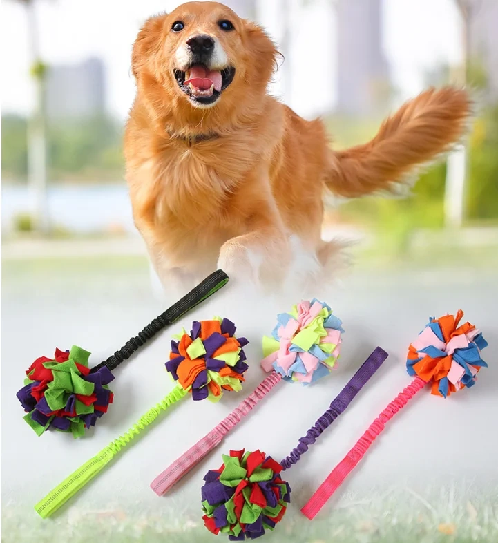 New Arrival Interactive Snuffle Puzzle Pet  Ball Outdoor Training Dog Chew Toy
