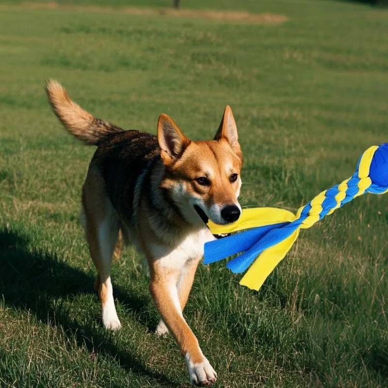 Wholesale Dog Toys High Quality Chew Eco Friendly Dog Toy Interactive Toys for Dog